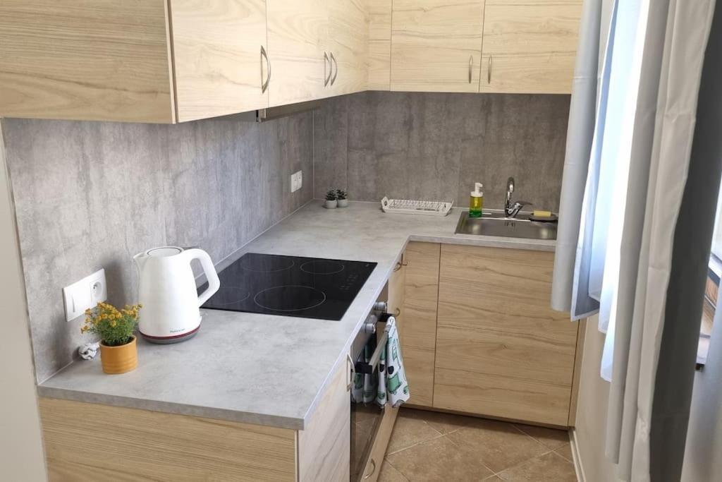 Cozy 1-br Apt. Vt Near Wenceslas Sq. * Praha