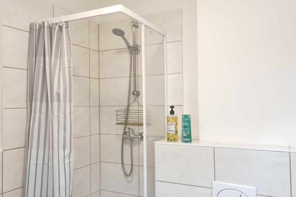 Cozy 1-br Apt. Vt Near Wenceslas Sq. Praha